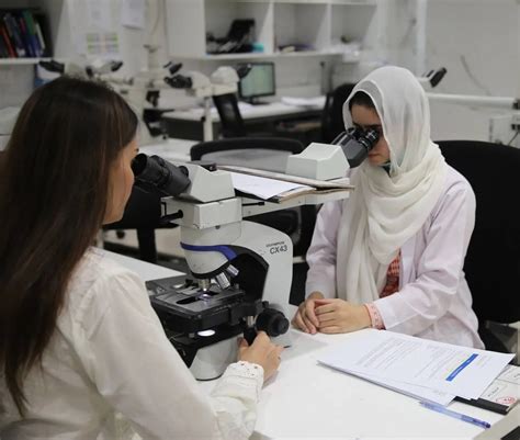 chughtai lab online report|Chughtai Lab – Leading Pathology Lab in Pakistan.